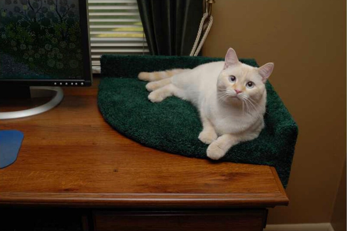 Cat shelf perch Cat Corner Desk Lounger Cat Bed kitty perch Etsy