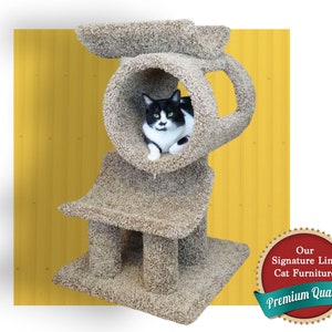 Cat top window tunnel