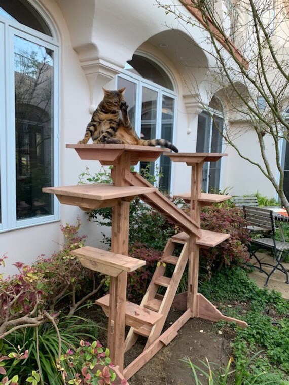 outdoor cat climbing structures