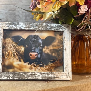 Farmhouse Black Calf Sign: Rustic Distressed Cow Decor (8"x6")