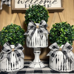 Set of 3 | Black & White Distressed Jar Glass Vases | Topiary Plant | Farmhouse Decor | Kitchen Decor | Tier Tray