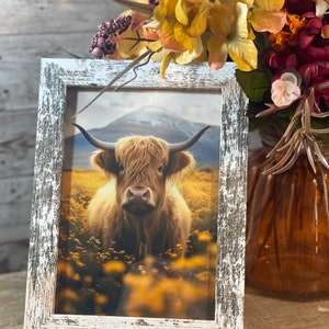 Rustic Farmhouse Fall Flower Meadow Orange Highland Cow Framed Art/ Distressed Frame/ Fall Decor / Highland Cow Photography