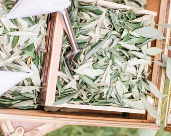 Rama de olivo seca orgánica Romero Hojas en forma de corazón para fiestas o bodas - DRY Natural Wedding Confetti Bio Decorations