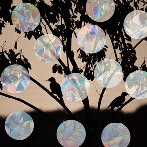 Op de afbeelding: Silhouet van een boom met iriserende, ronde, gekleurde glazen ornamenten die aan de takken hangen. Twee vogels zitten op de takken.