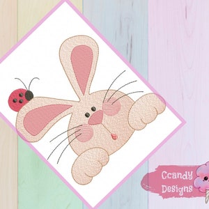 Bunny and Ladybug embroidery design, Easter embroidery design machine, Rabbit embroidery pattern, file instant download, Happy easter design