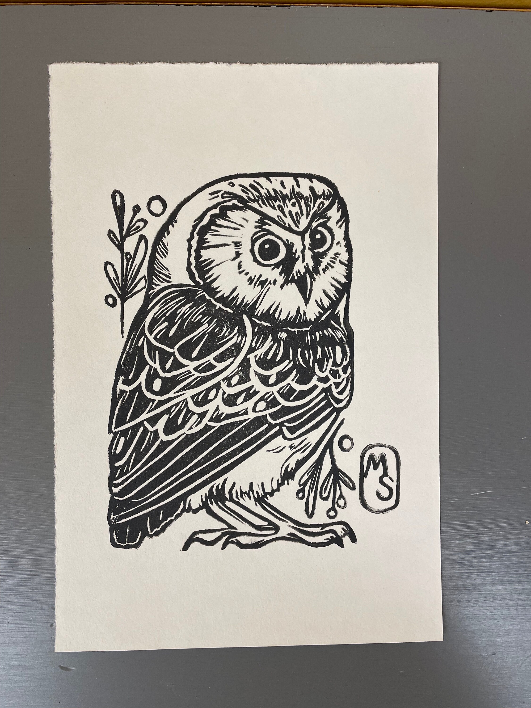 Saw whet owl print on paper, saw whet owl, owl print, owl decor, relief printed owl, relief owl, saw