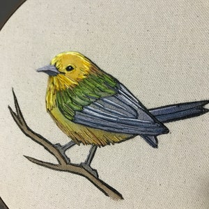 May include: Embroidered artwork of a yellow and green bird perched on a brown branch. The bird has a blue tail and is stitched with fine detail.