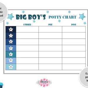 Boy Potty Chart PRINTABLE Download Big Boy Potty Training Toilet ...