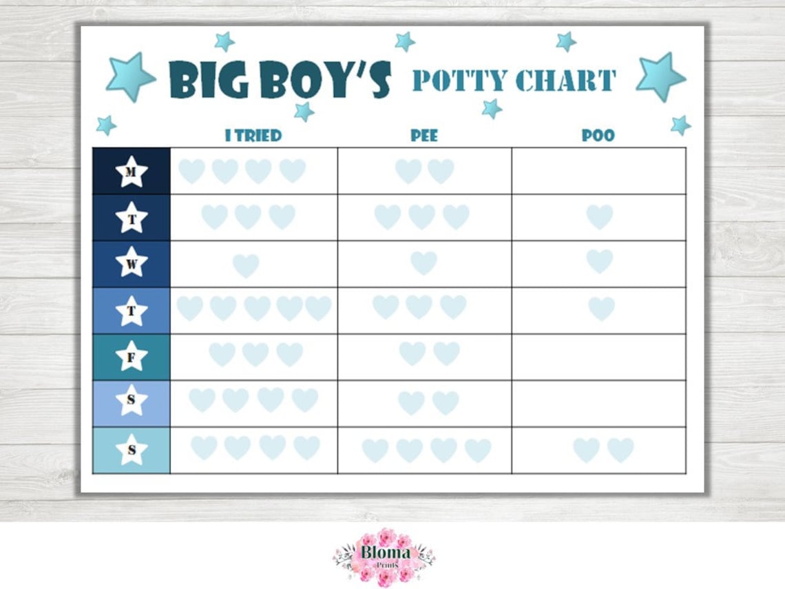 Boy Potty Chart PRINTABLE Download Big Boy Potty Training Toilet Training Children Chart Digital ...