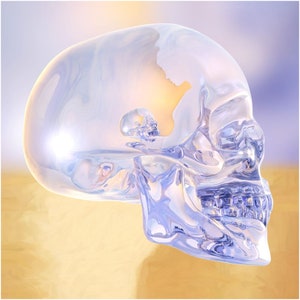 May include: A translucent, glass-like skull sculpture with a smaller skull and a silhouette of a person inside. The artwork has a light blue and white color scheme with a yellow and purple background.