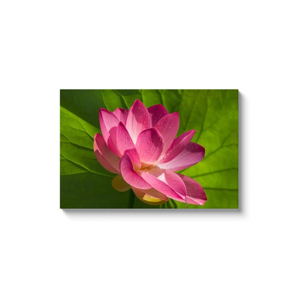 Lotus Flower Emblem Of Sacred Grace And Enlightenment, Symbol Of Abundance, Good Fortune And Wealth. 2 x 3 Feet Canvas Wrap.