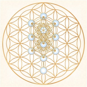 Metatron Würfel In Einem Baum des Lebens In einer Blume des Lebens, Hochfrequenz-Sacred Geometry Synergy. Hochwertiger, professioneller Luster-Druck