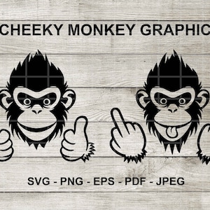 Lindos gráficos de monos de dibujos animados, SVG, Cricut, Clipart, gráficos de cortador de vinilo.