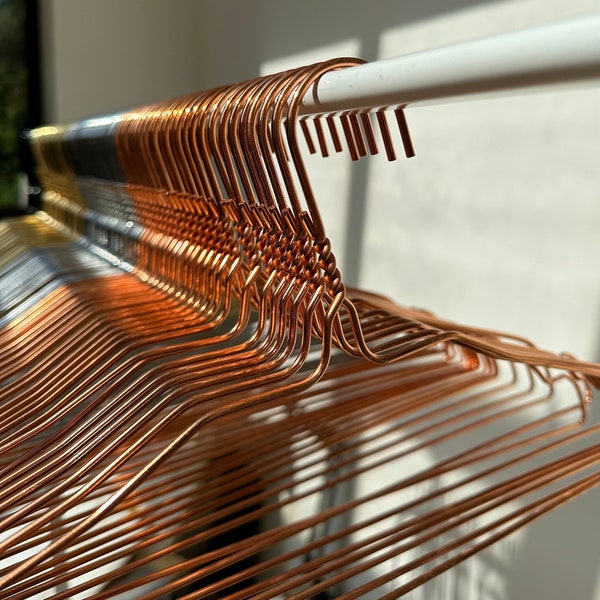 Appendiabiti - Metallo - 120 Cm - Argento - Jersey - Foto 9