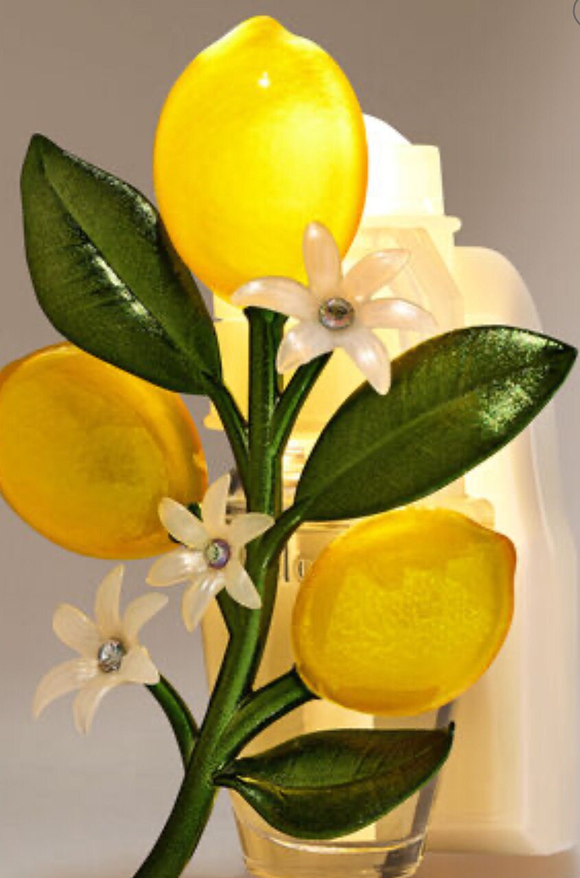 New Bath and Body Works Wall Plug Ins Etsy