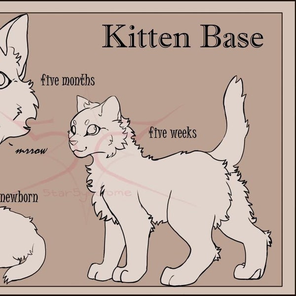 Cat Base - Etsy