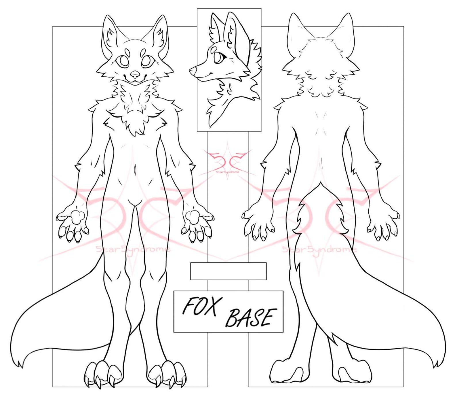 Anthro Furry Fox Canine Lineart Base Fursona Ref Sheet Psd & Png - Etsy