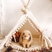 see more listings in the Pet Teepees section