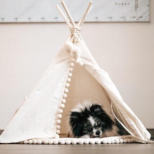 Cat & Dog TeePee Tent Modern Pet bed Cotton Cat House Dog TiPi and Playmat