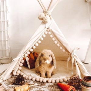Bed konijn, bed konijn, bed konijn, tipi-tent konijn, tipi-tent konijn, tipi-tent huisdier, bed klein huisdier, bed klein huisdier, tipi-tent voor huisdier