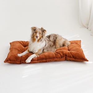 Könnte beinhalten: Ein mittelgroßer Hund mit braunem, weißem und grauem Fell liegt auf einem rechteckigen Hundebett aus Cord. Das Bett hat eine warme, rostorange Farbe und ein gestepptes Design. Der Hund liegt und schaut in die Kamera.