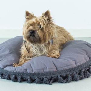 May include: A small, light brown dog with long hair is lying on a gray, round dog bed with a fringe border. The dog bed is on a light gray floor.