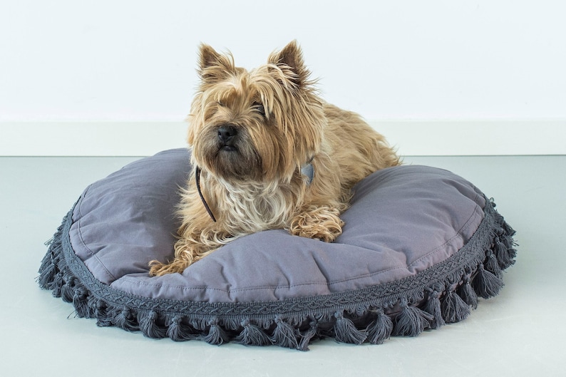 May include: A small, light brown dog with long hair is lying on a gray, round dog bed with a fringe border. The dog bed is on a light gray floor.