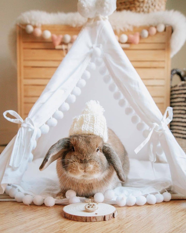 Rabbit House Teepee Canvas Small Pet Bed Bunny Tipi Guinea Pig Tee Pee image 3