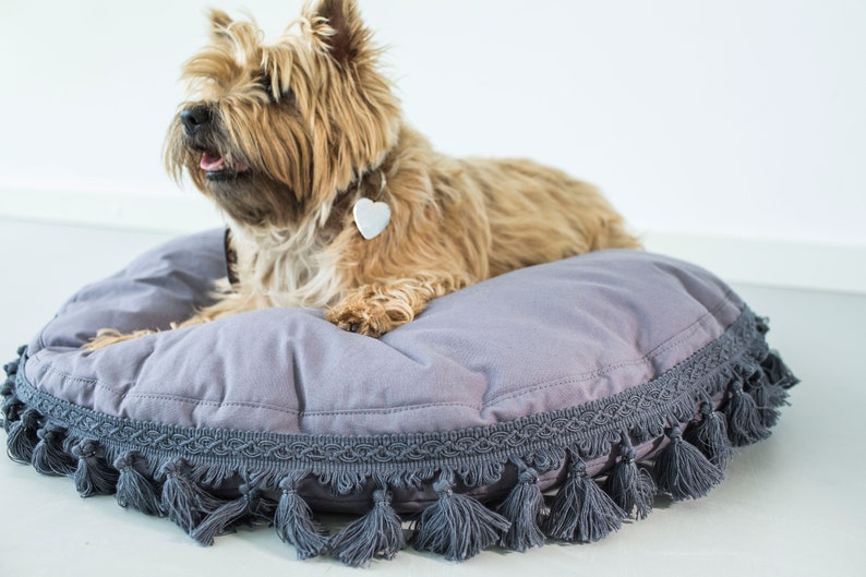 May include: A small, light brown dog with a white heart-shaped tag on its collar, lying on a round, gray dog bed with a gray tassel trim.