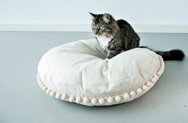 May include: A white round pet bed with a pom-pom trim. A gray and white cat is sitting on the bed.