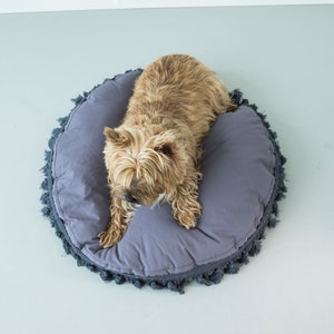 May include: A small, light brown dog with long fur is lying in a round, gray dog bed with a fringe trim.