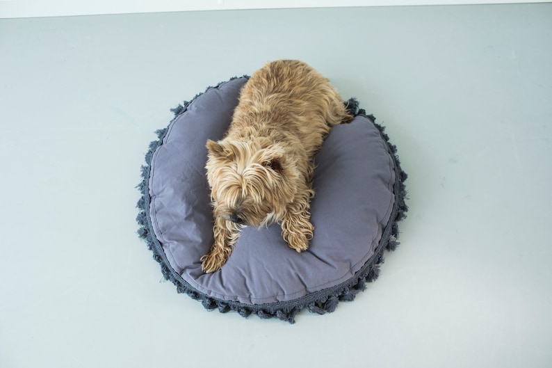 May include: A small, light brown dog with long fur is lying in a round, gray dog bed with a fringe trim.