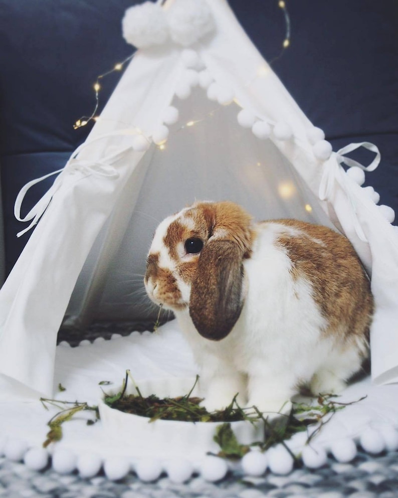 Bed for Rabbit Pet Bed From Natural Cotton Bunny Teepee With Etsy