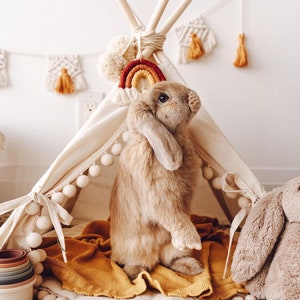 Rabbit House Teepee Canvas Small Pet Bed Bunny Tipi Guinea Pig Tee Pee image 2