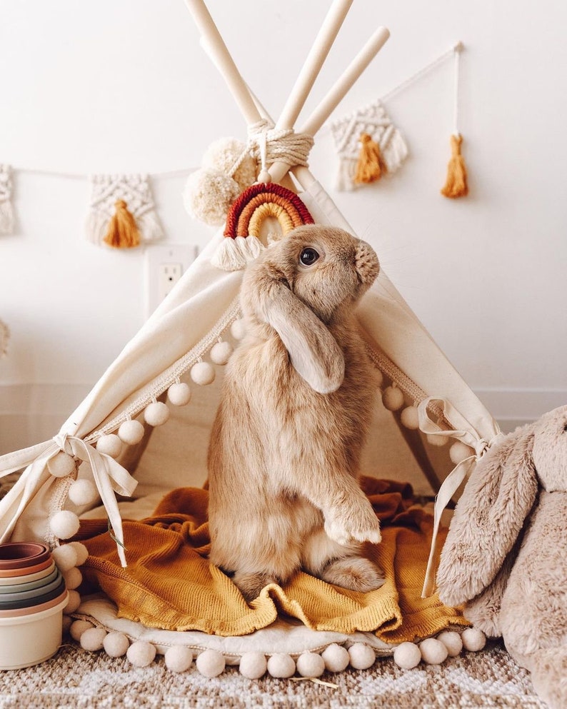 Rabbit House Teepee Canvas Small Pet Bed Bunny Tipi Guinea Pig Tee Pee image 2