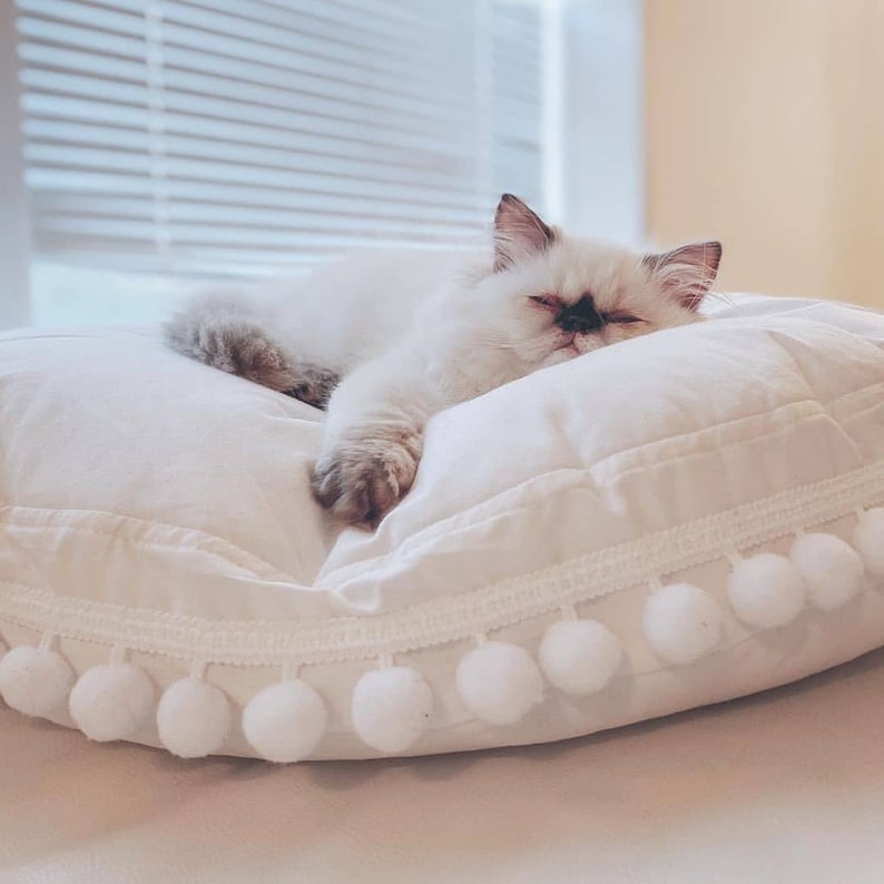 May include: A white fluffy cat with black markings on its face is sleeping on a white round pillow with a white pom-pom trim.