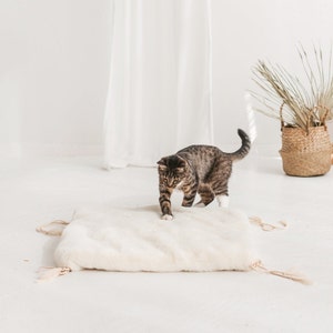 May include: A tabby cat playing on a white fluffy cat bed with tassels. The cat bed is on a white floor in front of a white curtain.