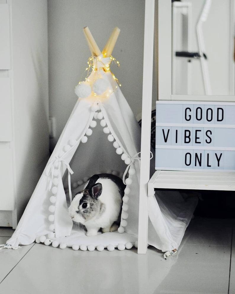 Guinea Pig Bed Teepee Chinchilla Hamster House Small Pet Tipi Etsy