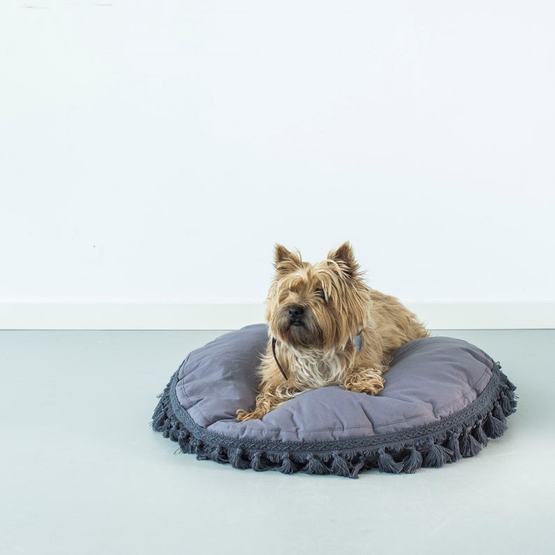May include: A small, brown and tan dog with long hair is lying on a gray, round dog bed with a fringe border.