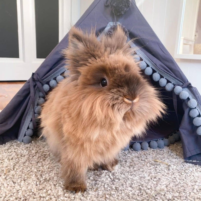 Rabbit House Teepee Canvas Small Pet Bed Bunny Tipi Guinea Pig Tee Pee image 6