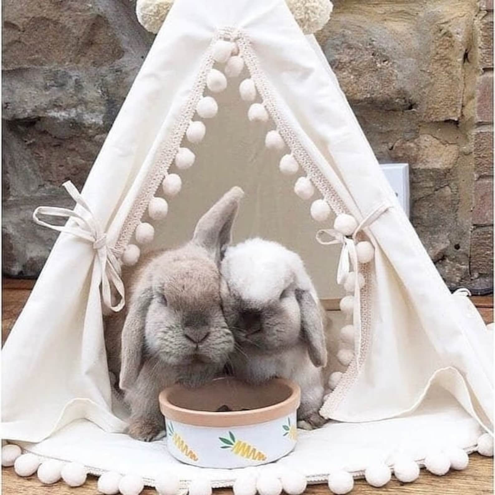 Bed for Rabbit Pet Bed from Natural Cotton Bunny Teepee with Etsy