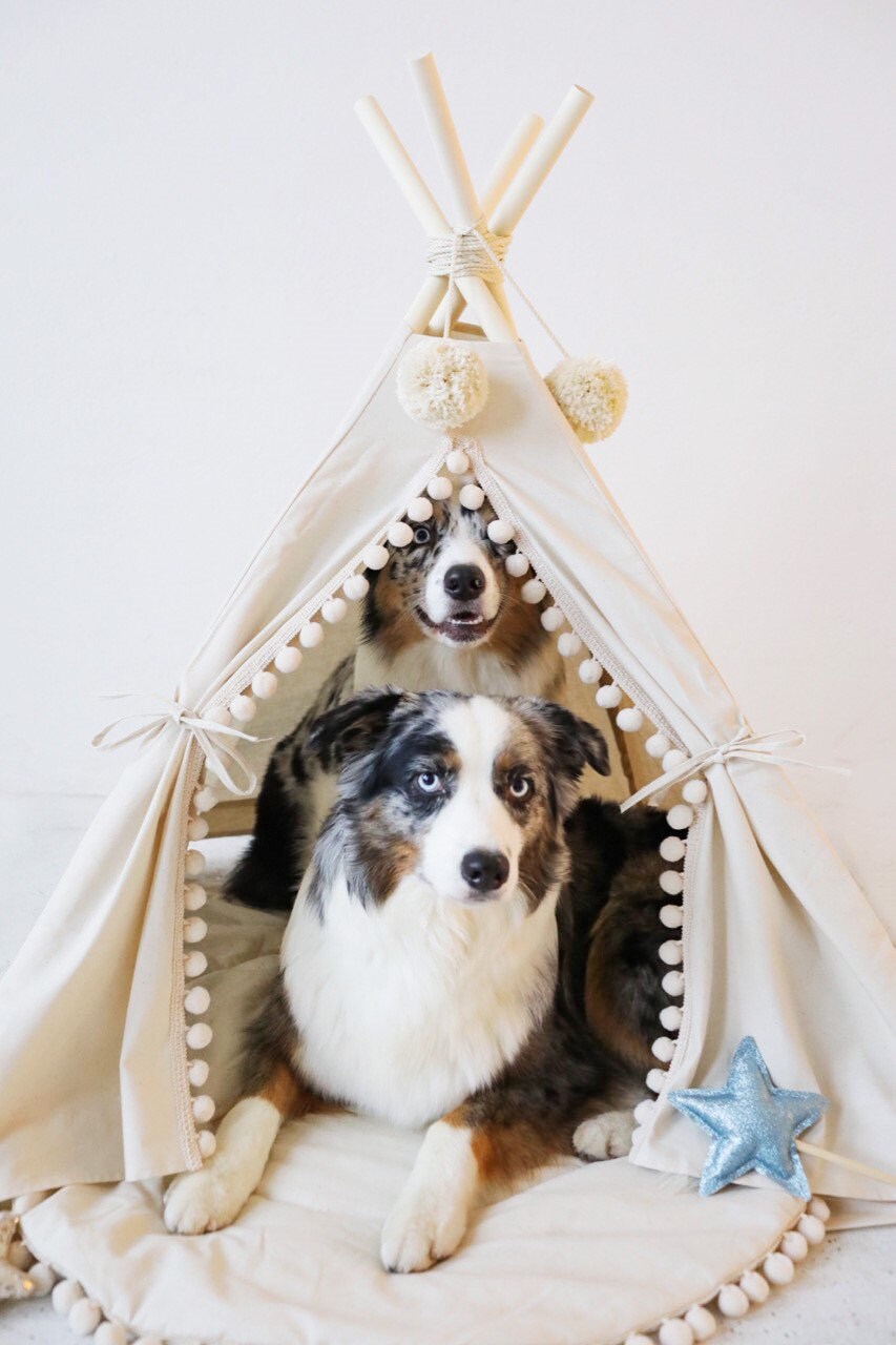 Large Dog Teepee Tent With Pom Poms Decor Modern Pet Etsy Canada