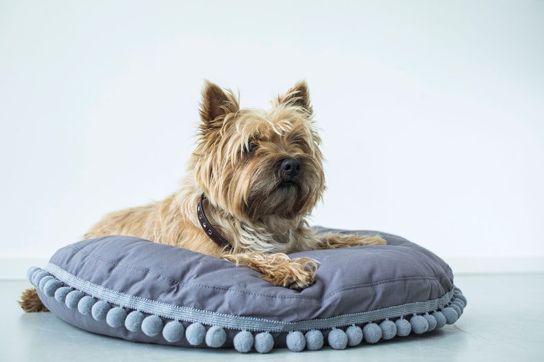 May include: A small, brown and tan dog with a black collar is lying on a gray, round dog bed with a gray pom-pom trim.