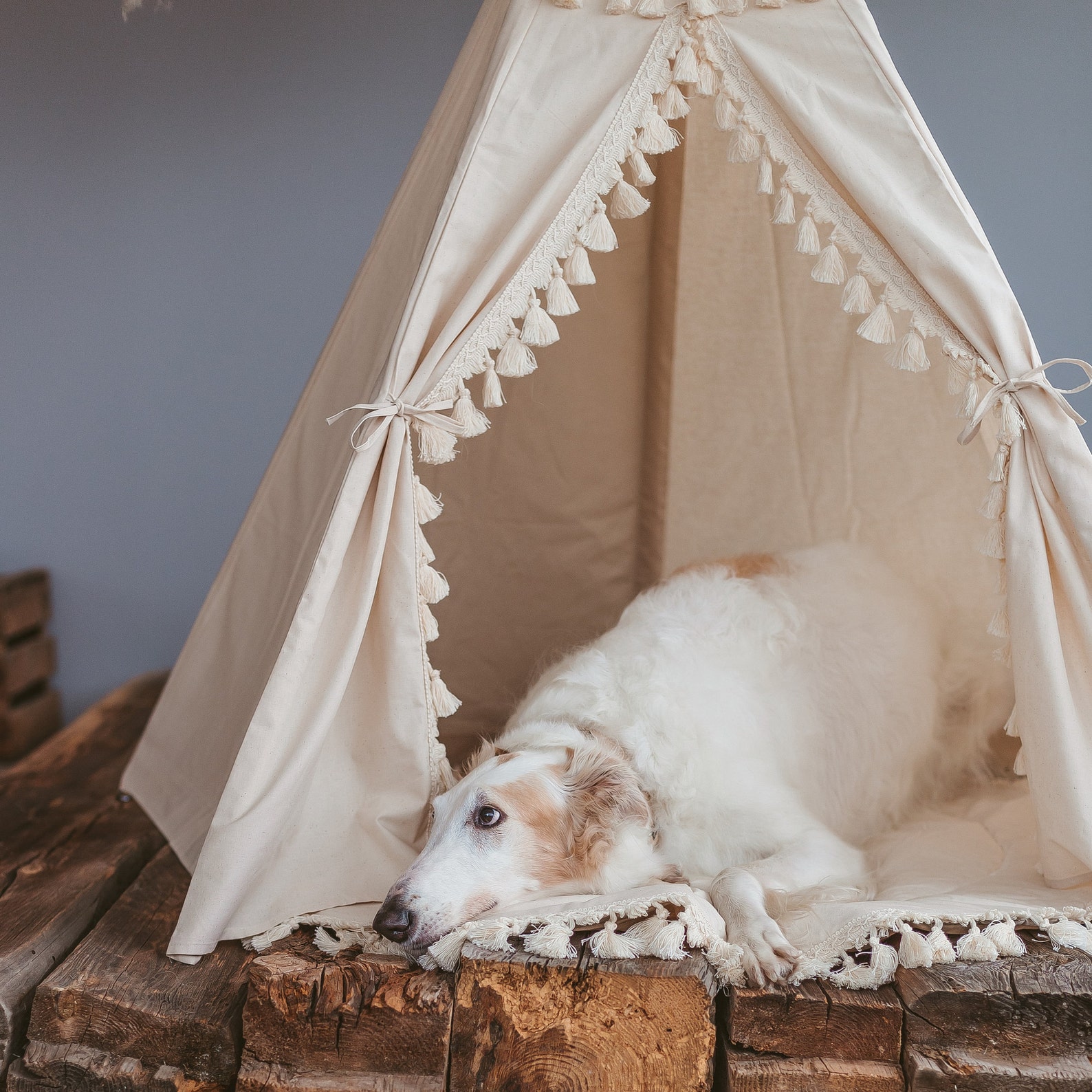 Extra Large Boho Dog Bed Natural Fibre Dog Teepee Tent Etsy
