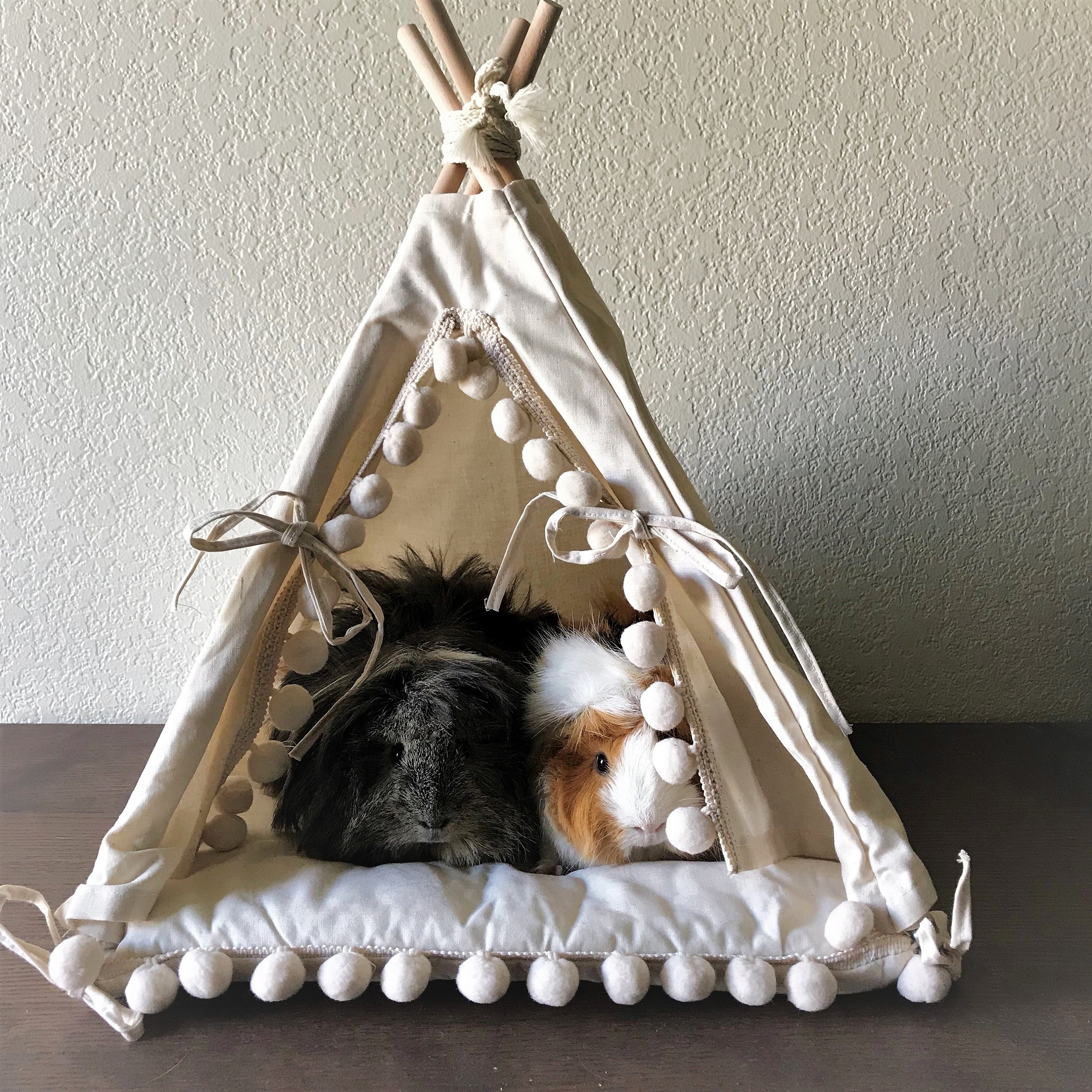 Guinea Pig Bed Teepee Chinchilla Hamster House Small Pet Tipi Etsy
