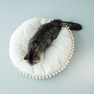 May include: A gray tabby cat curled up in a white round pet bed with a white pom-pom trim.