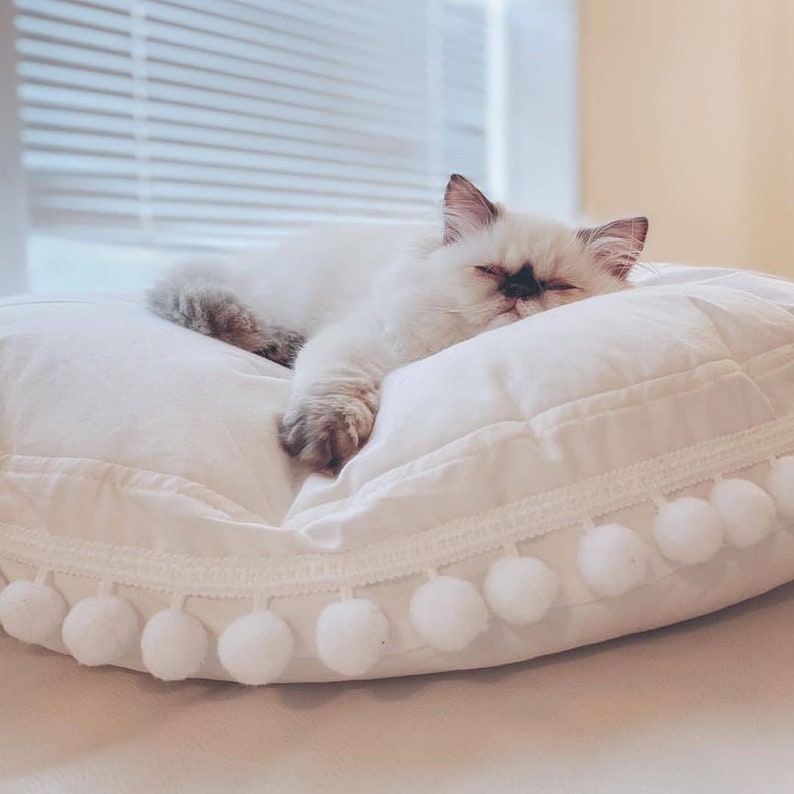 May include: A white fluffy cat with black markings on its face is sleeping on a white round pillow with a white pom-pom trim.