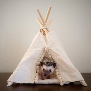 Op de afbeelding: Een klein egeltje kijkt uit een witte tipi met een witte pomponrand. De tipi is gemaakt van stof en heeft houten palen.