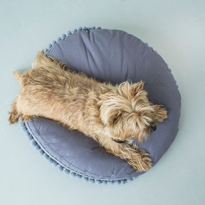 May include: A small, light brown dog with long fur is lying on a round, gray dog bed with a pom-pom trim.