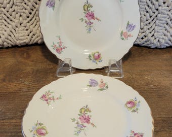 Household Institute Priscilla Pattern by Homer Laughlin Dessert